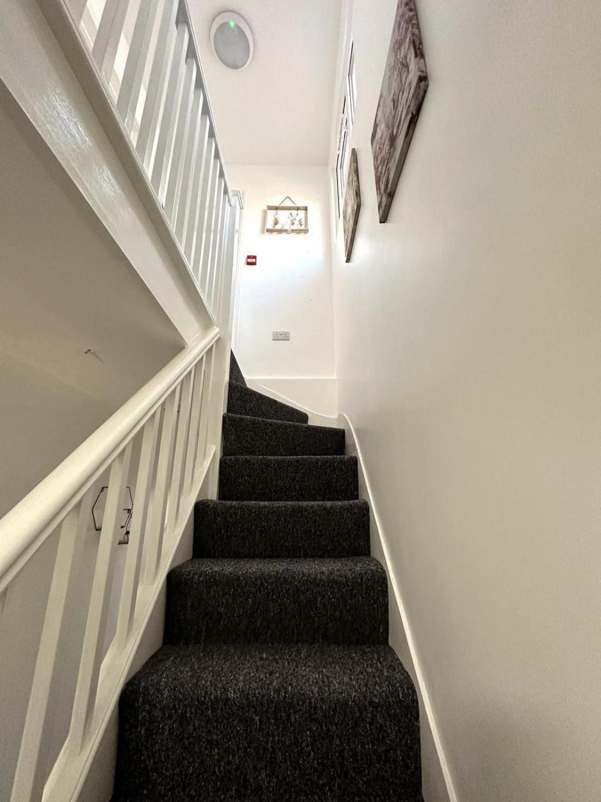 Newmarket Road Studios And Suites By Tas Accommodations Cambridge  Exteriör bild